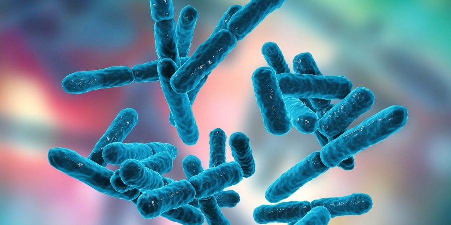 Îți reface flora intestinală