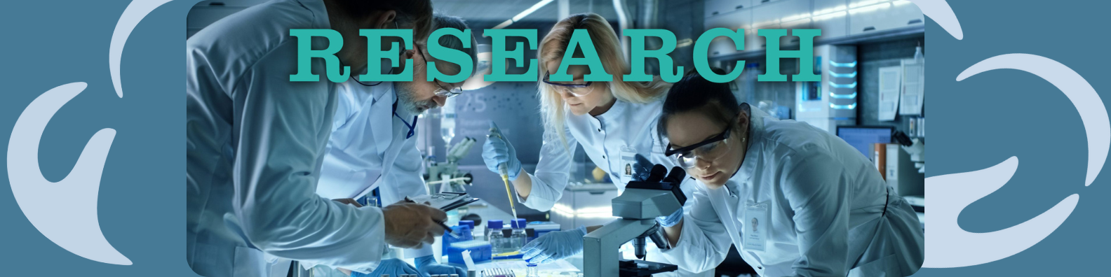 research var noua
