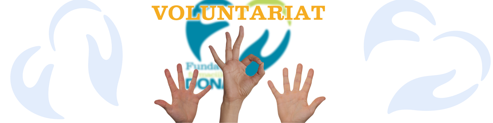 voluntariat var noua