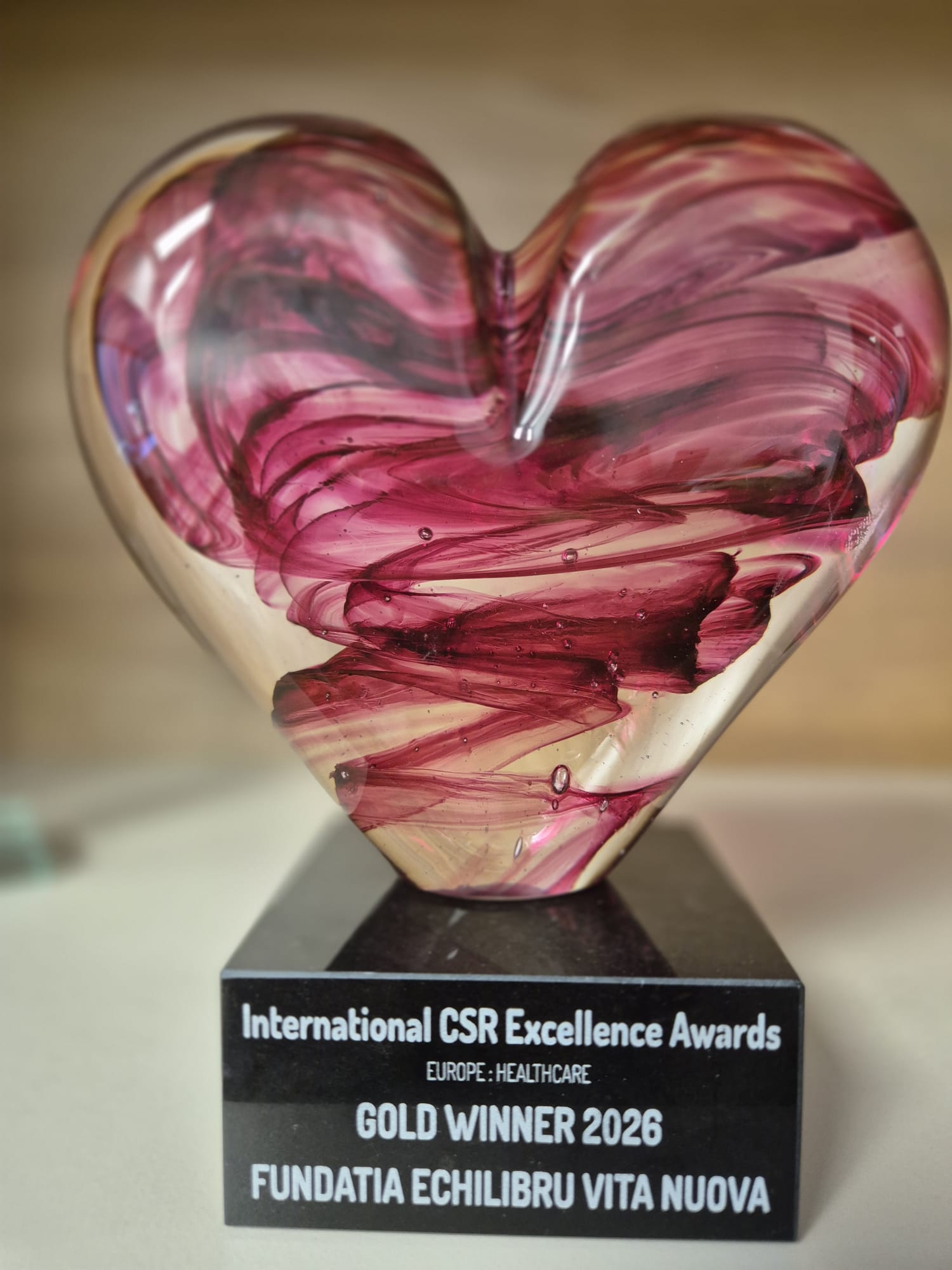 International CSR Excellence Award 2026 acordat Fundației Echilibru Vita Nuova